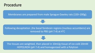 Procedure
Membranes are prepared from male Sprague-Dawley rats (150–200g).
Following decapitation ,the basal forebrain regions (nucleus accumbens) are
removed to PBS (pH 7.4) at 4°C
The tissues are weighted, then placed in 10ml/g tissue of ice-cold 20mM
HEPES/KOH (pH 7.4) and homogenized with a Polytron
 