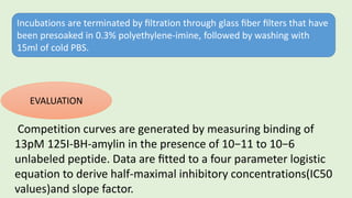 Incubations are terminated by ﬁltration through glass ﬁber ﬁlters that have
been presoaked in 0.3% polyethylene-imine, followed by washing with
15ml of cold PBS.
Competition curves are generated by measuring binding of
13pM 125I-BH-amylin in the presence of 10−11 to 10−6
unlabeled peptide. Data are ﬁtted to a four parameter logistic
equation to derive half-maximal inhibitory concentrations(IC50
values)and slope factor.
EVALUATION
 