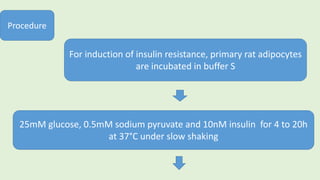 Procedure
For induction of insulin resistance, primary rat adipocytes
are incubated in buffer S
25mM glucose, 0.5mM sodium pyruvate and 10nM insulin for 4 to 20h
at 37°C under slow shaking
 