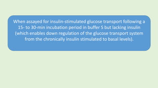 When assayed for insulin-stimulated glucose transport following a
15- to 30-min incubation period in buffer S but lacking insulin
(which enables down regulation of the glucose transport system
from the chronically insulin stimulated to basal levels).
 