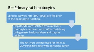 B – Primary rat hepatocytes
Sprague-Dawley rats (100–200g) are fed prior
to the hepatocyte isolation.
Hepatocytes are isolated from rat livers
thoroughly perfused with buffer containing
collagenase, hyaluronidase and trypsin
inhibitor.
The rat livers are perfused for 4min at
25ml/min ﬂow rate with perfusion buffer
 