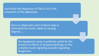 and ﬁnally the deposition of TAG in LD in the
cytoplasm of the adipocytes.
Since in adipocytes each of these steps is
stimulated by insulin, albeit to varying
degrees…….
the lipogenesis assay is perfectly suited for the
analysis of effects of compounds/drugs on the
complex insulin signaling cascade regulating
lipogenesis.
 