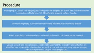 Procedure
Using a contact lens-type electrode, electro-retinograms (ERG) evoked by strong ﬂushes are
ampliﬁed by a preampliﬁer, displayed on an oscilloscope and summed using a signal averager
which also provides a copy of the averaged ERG.
Photic stimulation is delivered with an intensity of one J in 20s interstimulus intervals.
Electroretinography is performed monocularly with the pupil maximally dilated.
Male Sprague-Dawley rats weighing 310–400g are dark-adapted for 20min and anesthetized with
i.p injections of ketamine, 50–80mg/kg and atropine sulfate, 2mg/kg.
 