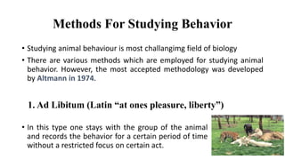 1. Ad Libitum (Latin “at ones pleasure, liberty”)
• In this type one stays with the group of the animal
and records the behavior for a certain period of time
without a restricted focus on certain act.
• Studying animal behaviour is most challangimg field of biology
• There are various methods which are employed for studying animal
behavior. However, the most accepted methodology was developed
by Altmann in 1974.
Methods For Studying Behavior
 