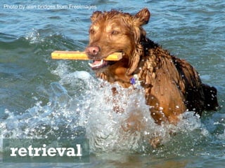 Photo by alan bridges from FreeImages
retrieval
 