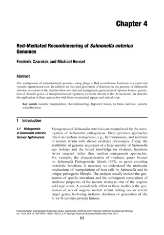 Salmonella Métodos y protocolos