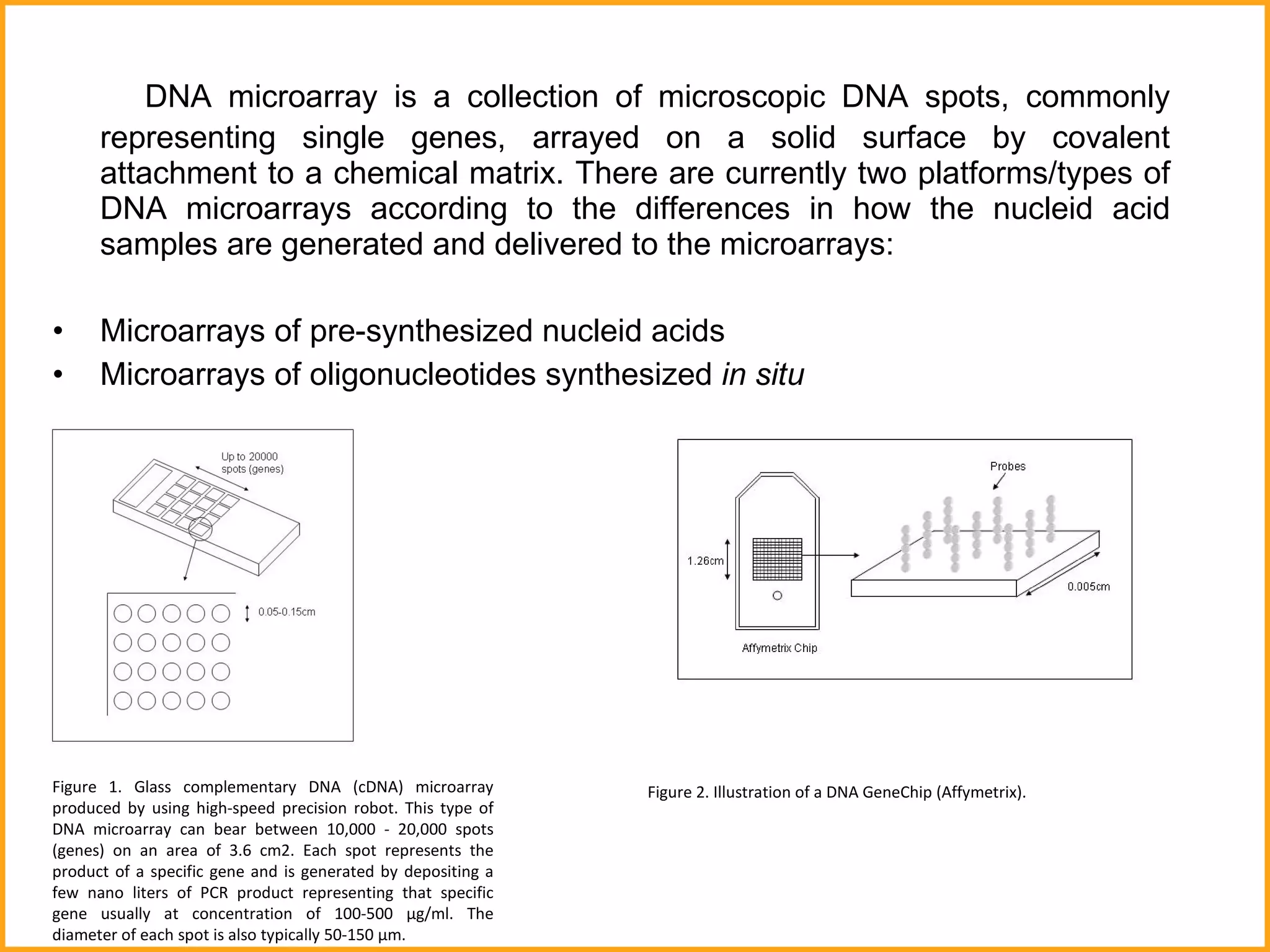 DNA microarray  is a collection of microscopic DNA spots, commonly representing single genes, arrayed on a solid surface   by covalent attachment to a chemical matrix.   There are currently two platforms/types of DNA microarrays  according to the differences in how the nucleid acid samples are generated and delivered to the microarrays:  Microarrays of pre-synthesized nucleid acids Microarrays of oligonucleotides synthesized  in situ Figure 1. Glass complementary DNA (cDNA) microarray produced by using high-speed precision robot. This type of DNA microarray can bear between 10,000 - 20,000 spots (genes) on an area of 3.6 cm2. Each spot represents the product of a specific gene and is generated by depositing a few nano liters of PCR product representing that specific gene usually at concentration of 100-500 µg/ml. The diameter of each spot is also typically 50-150 µm.  Figure 2. Illustration of a DNA GeneChip (Affymetrix).  