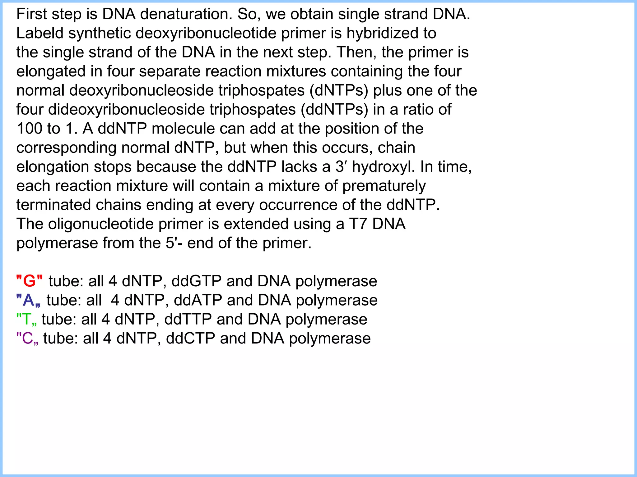 First step is DNA denaturation. So, we obtain single strand DNA.  Labeld synthetic deoxyribonucleotide primer is hybridized to  the single strand of the DNA in the next step. Then, the primer is  elongated in four separate reaction mixtures containing the four  normal deoxyribonucleoside triphospates (dNTPs) plus one of the  four dideoxyribonucleoside triphospates (ddNTPs)  in a ratio of  100 to 1. A ddNTP molecule can add at the position of the  corresponding normal dNTP, but when this occurs, chain  e longation stops because the ddNTP lacks a 3′ hydroxyl. In time, each reaction   mixture will contain a mixture of prematurely  terminated chains ending at every occurrence of the ddNTP .  The oligonucleotide primer is extended using a  T7  DNA  p olymerase  from the  5'- end of the primer.   "G"   tube : all  4  dNTP, ddGTP and DNA polymerase "A„  tube: all  4  dNTP, ddATP and DNA   polymerase "T„  tube: all  4  dNTP, ddTTP and DNA   polymerase  "C„  tube: all  4  dNTP, ddCTP and DNA   polymerase  