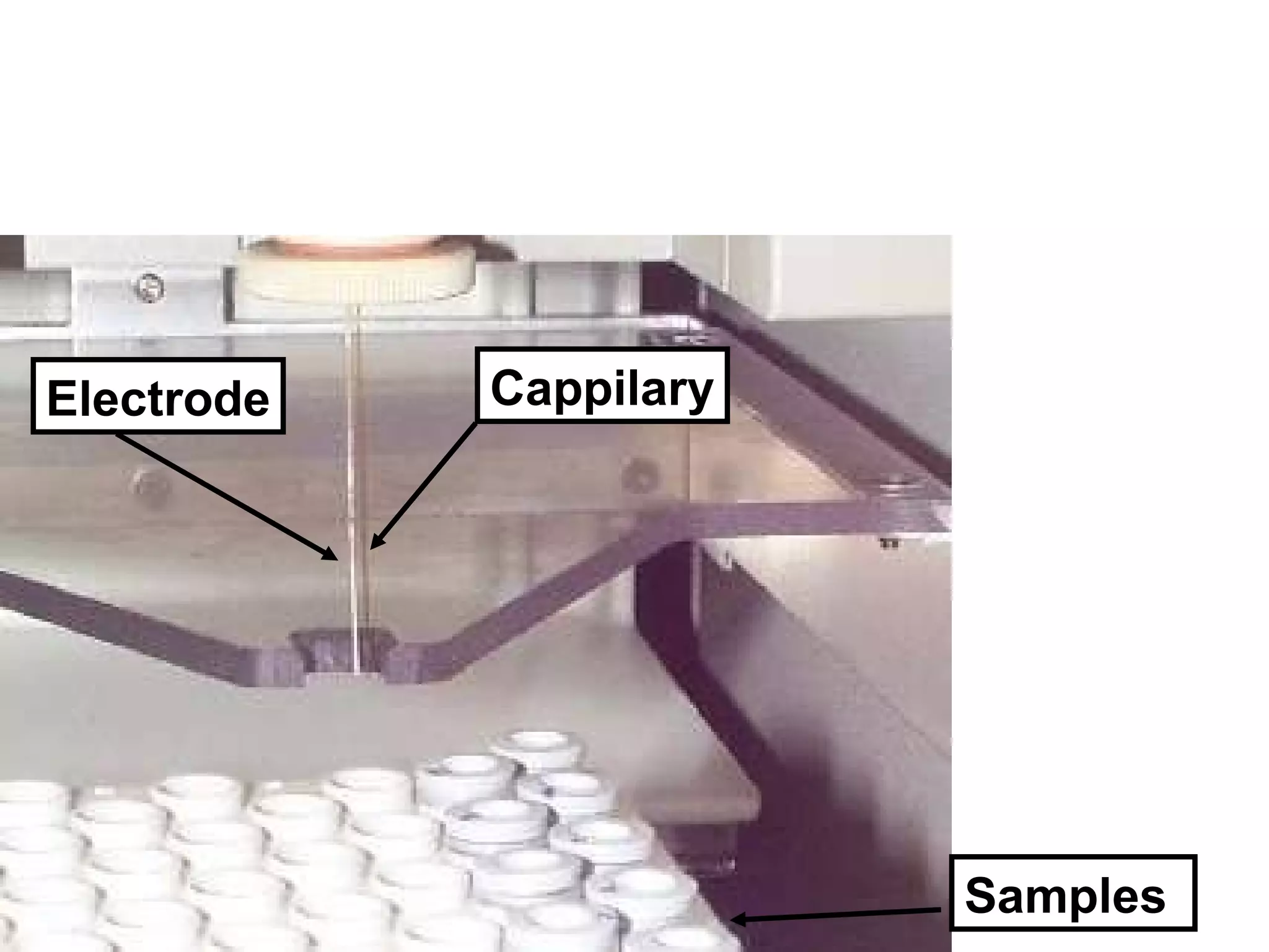 Cappilary Samples Ele ctrode 