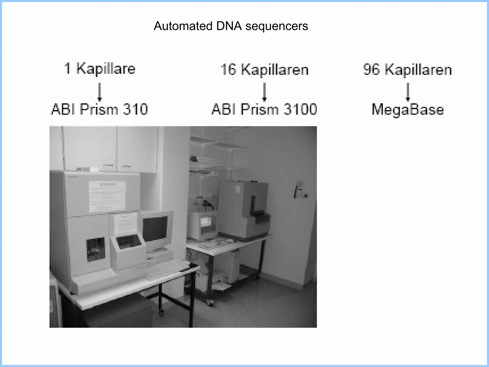 Automated DNA sequencers 