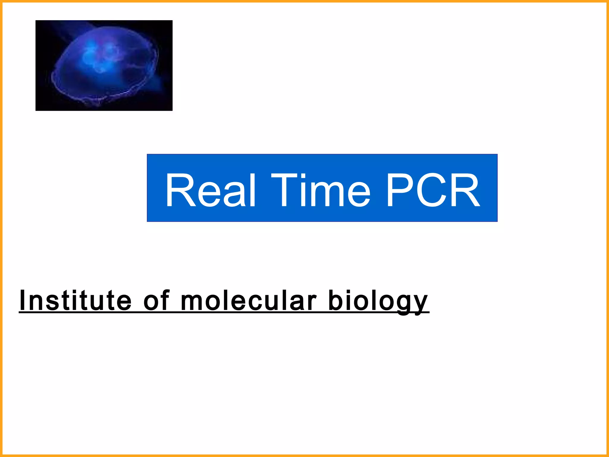 Real Time PCR Institute of molecular biology 