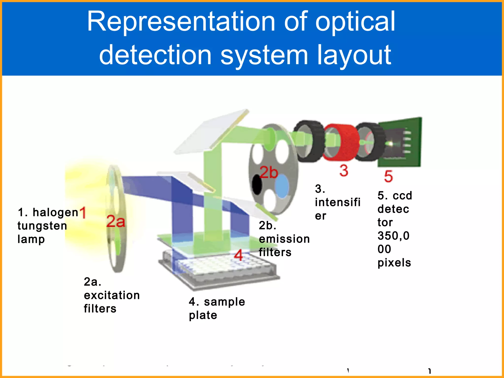 Representation of optical  detection system layout www.biorad.com 2a. excitation filters 2b. emission filters 1. halogen tungsten lamp 4. sample plate 3. intensifier 5. ccd detector 350,000 pixels 