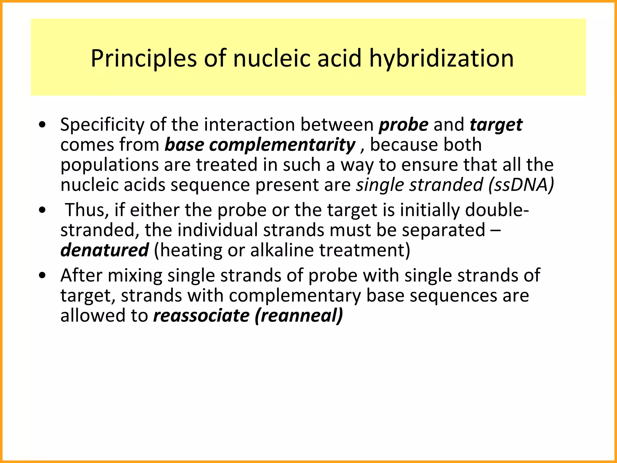 Principles of nucleic acid hybridization  Specificity of the interaction between  probe  and  target  comes from  base complementarity  , because both populations are treated in such a way to ensure that all the nucleic acids sequence present are  single stranded (ssDNA)   Thus, if either the probe or the target is initially double-stranded, the individual strands must be separated –  denatured  (heating or alkaline treatment) After mixing single strands of probe with single strands of target, strands with complementary base sequences are allowed to  reassociate (reanneal) 