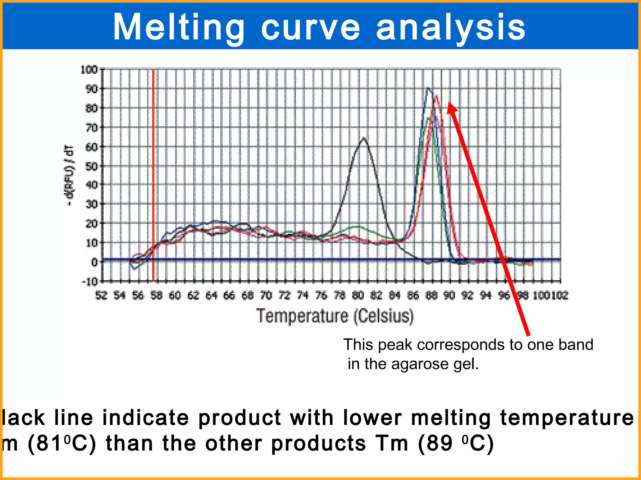 Black line indicate product with lower melting temperature  Tm (81 0 C) than the other products Tm (89  0 C)  Melting curve analysis This peak corresponds to one band in the agarose gel. 