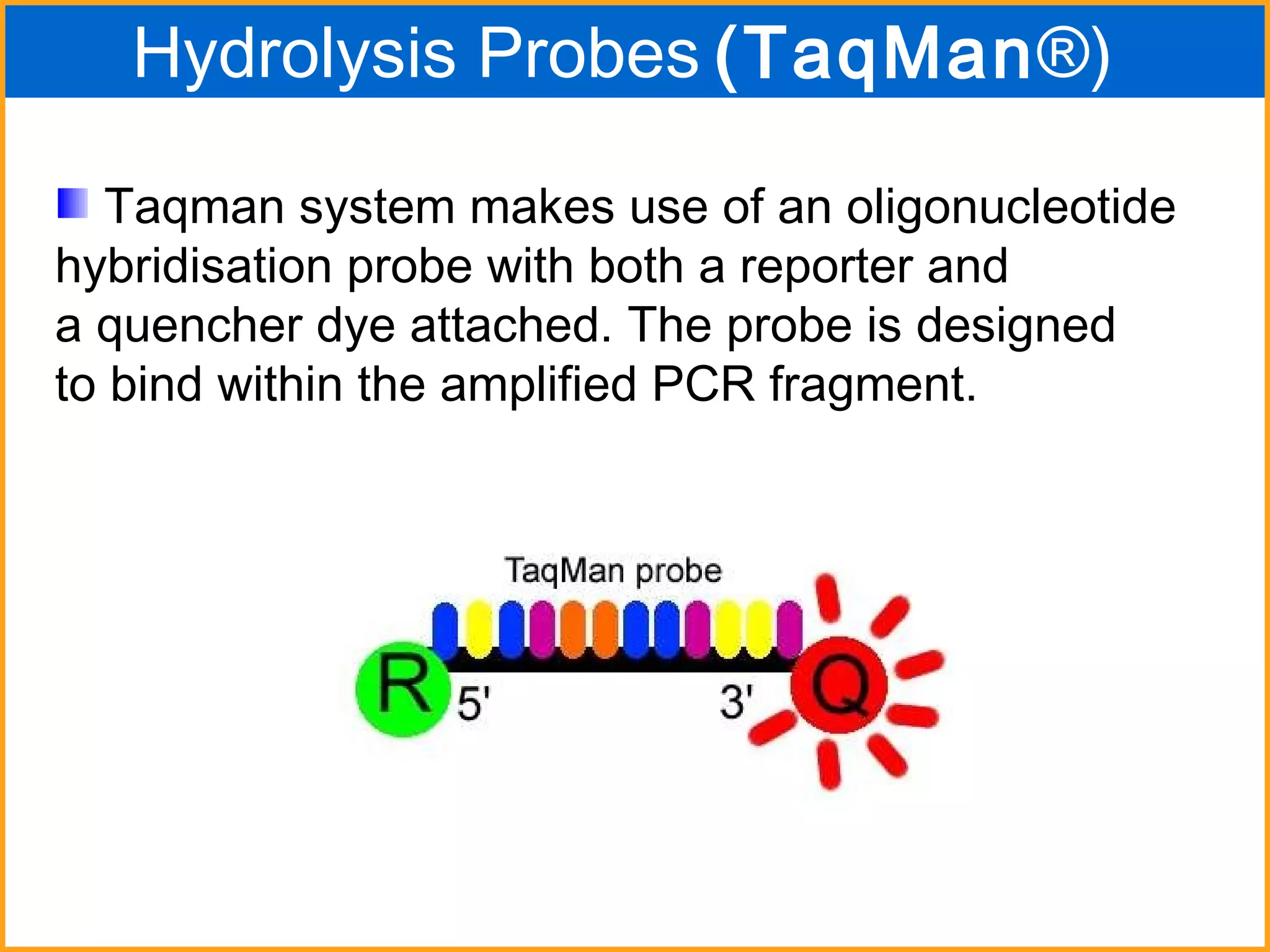 Hydrolysis Probes   (TaqMan ®)   Taqman system makes use of an oligonucleotide  hybridisation probe with both a reporter and  a quencher dye attached. The probe is designed to bind within the amplified PCR fragment.  