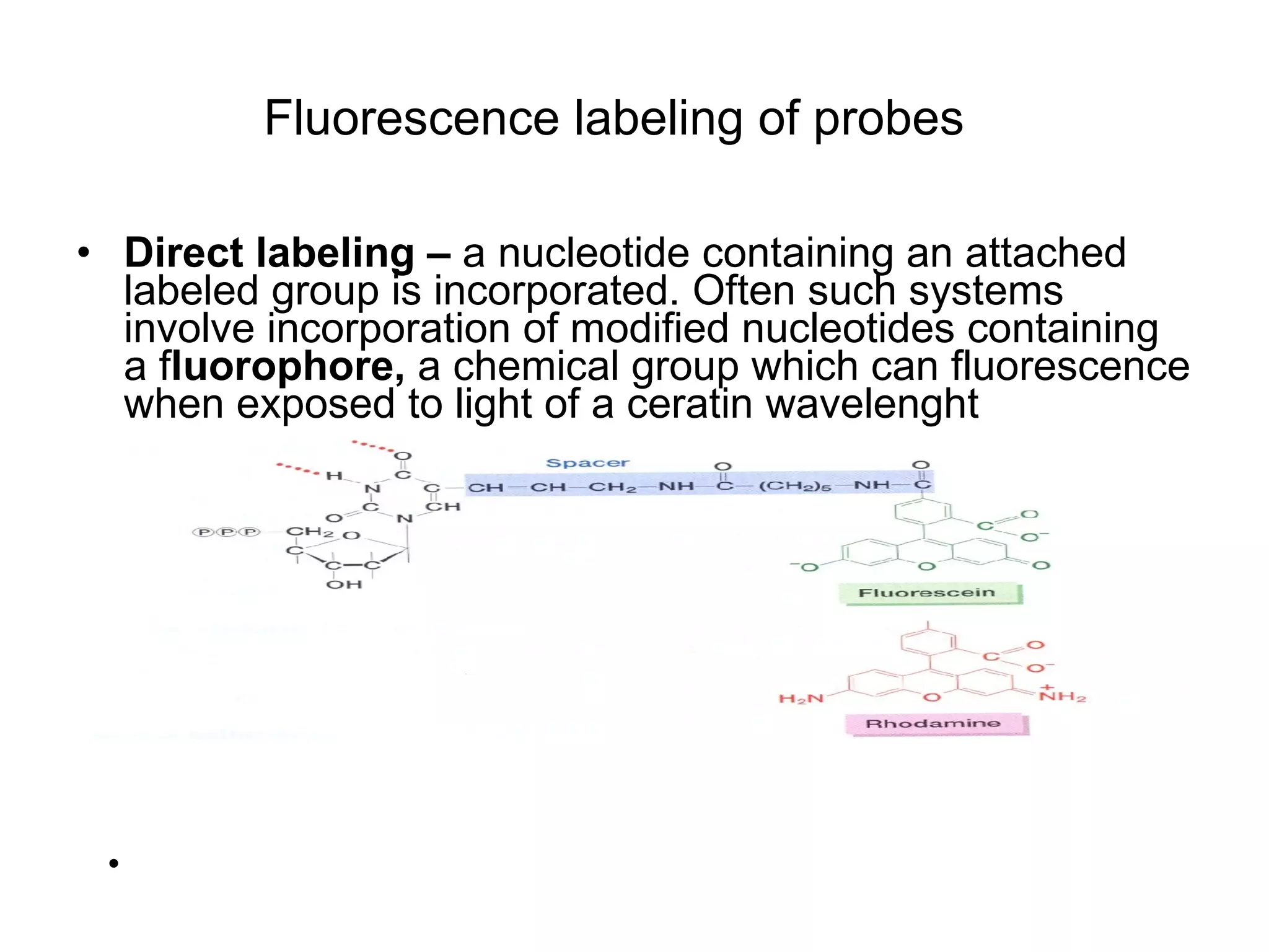 Fluorescence labeling of probes  Direct labeling –  a nucleotide containing an attached labeled group is incorporated. Often such systems involve incorporation of modified nucleotides containing a f luorophore,  a chemical group which can fluorescence when exposed to light of a ceratin wavelenght  