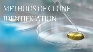 METHODS OF CLONE
IDENTIFICATION
SUBMITTED BY : RAMA JUMWAL
M.SC.(BIOTECHNOLOGY) 2ND SEM.
MAU20PBTPBT010
 
