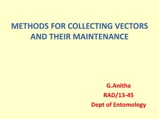 METHODS FOR COLLECTING VECTORS
AND THEIR MAINTENANCE
G.Anitha
RAD/13-45
Dept of Entomology
 