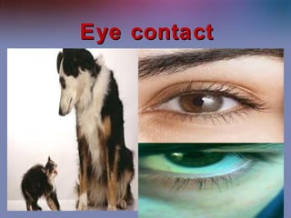 Methods of communication | PPT