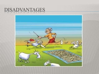DISADVANTAGES
 