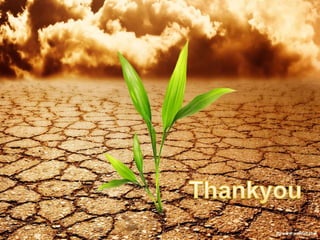 Methods of dying 1 (1)