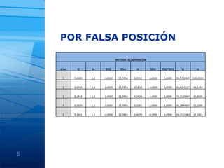 POR FALSA POSICIÓN5