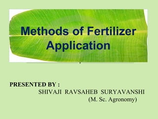 Methods of Fertilizer
Application
PRESENTED BY :
SHIVAJI RAVSAHEB SURYAVANSHI
(M. Sc. Agronomy)
 
