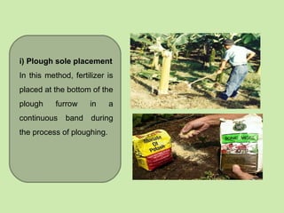 i) Plough sole placement
In this method, fertilizer is
placed at the bottom of the
plough furrow in a
continuous band during
the process of ploughing.
 