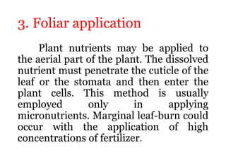 Methods of Fertilizer Application.pptx
