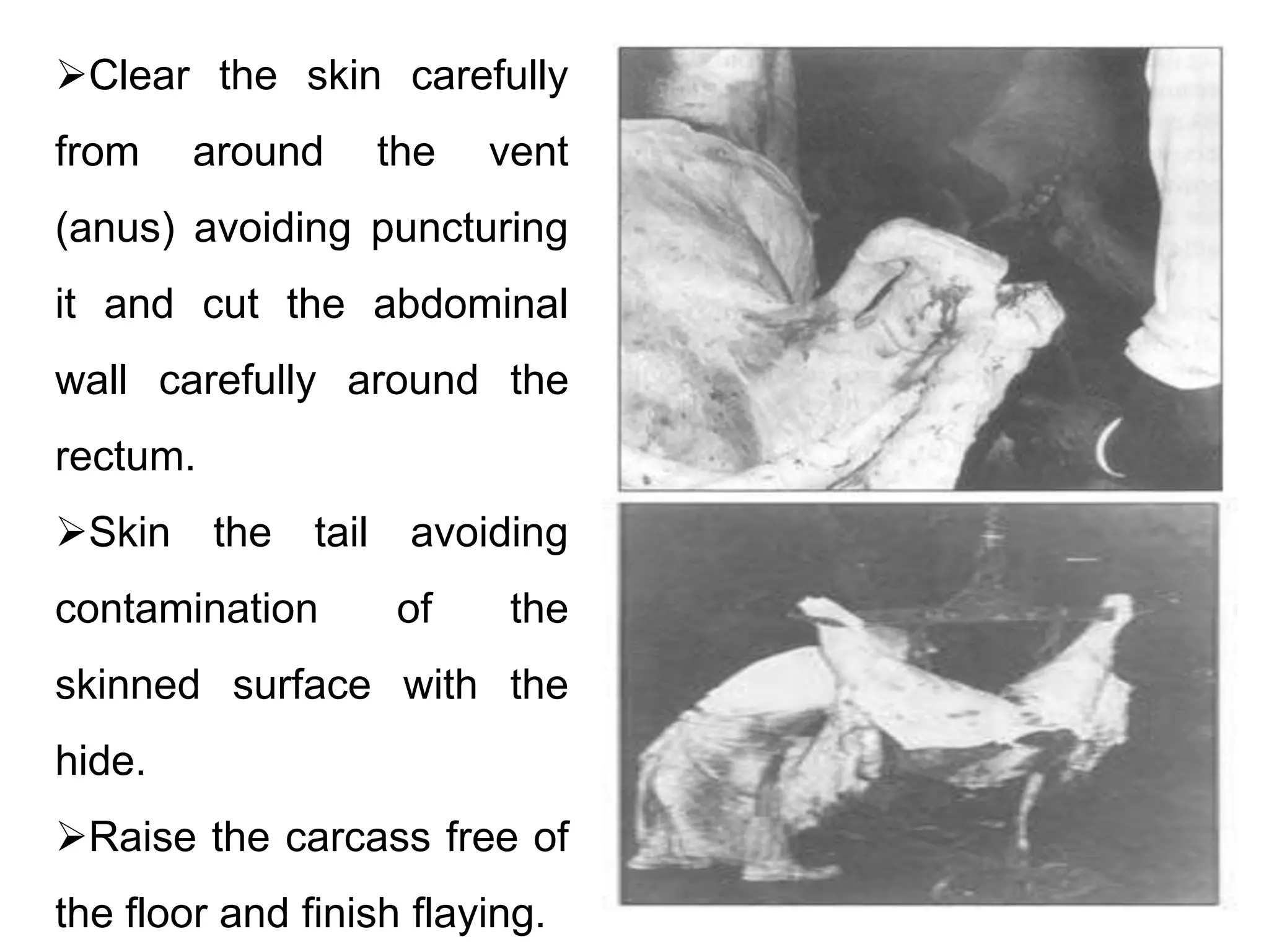 What Is Flaying?  A Historical Examination Of Skinning - pzomflf