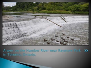 A weir on the Humber River near Raymore Park
in Toronto, Ontario.
 