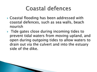  Coastal flooding has been addressed with
coastal defences, such as sea walls, beach
nourish
 Tide gates close during incoming tides to
prevent tidal waters from moving upland, and
open during outgoing tides to allow waters to
drain out via the culvert and into the estuary
side of the dike.
 