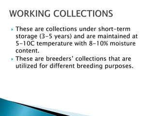  These are collections under short-term
storage (3-5 years) and are maintained at
5-10C temperature with 8-10% moisture
content.
 These are breeders’ collections that are
utilized for different breeding purposes.
 