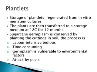  Storage of plantlets regenerated from in vitro
meristem cultures
 The plants are then transferred to a storage
medium at 18C for 12 months
 Sugarcane germplasm is conserved by
planting the cuttings in soil, the process is
a) Labour intensive tedious
b) Time consuming
c) Germplasm is vulnerable to environmental
factors
d) Attack by pests
 