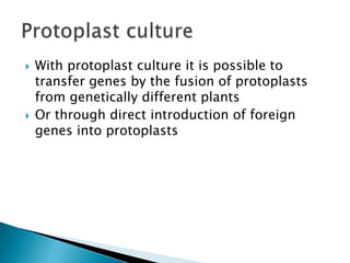  With protoplast culture it is possible to
transfer genes by the fusion of protoplasts
from genetically different plants
 Or through direct introduction of foreign
genes into protoplasts
 
