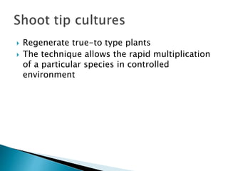  Regenerate true-to type plants
 The technique allows the rapid multiplication
of a particular species in controlled
environment
 