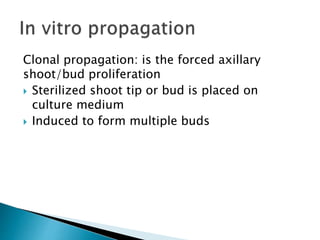 Clonal propagation: is the forced axillary
shoot/bud proliferation
 Sterilized shoot tip or bud is placed on
culture medium
 Induced to form multiple buds
 