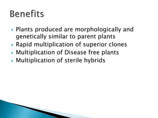  Plants produced are morphologically and
genetically similar to parent plants
 Rapid multiplication of superior clones
 Multiplication of Disease free plants
 Multiplication of sterile hybrids
 