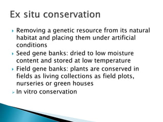  Removing a genetic resource from its natural
habitat and placing them under artificial
conditions
 Seed gene banks: dried to low moisture
content and stored at low temperature
 Field gene banks: plants are conserved in
fields as living collections as field plots,
nurseries or green houses
 In vitro conservation
 