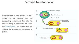 Methods of genetic transfer in bacteria.pptx