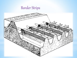 Border Strips
 
