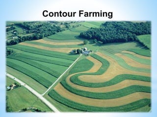 Contour Farming
 