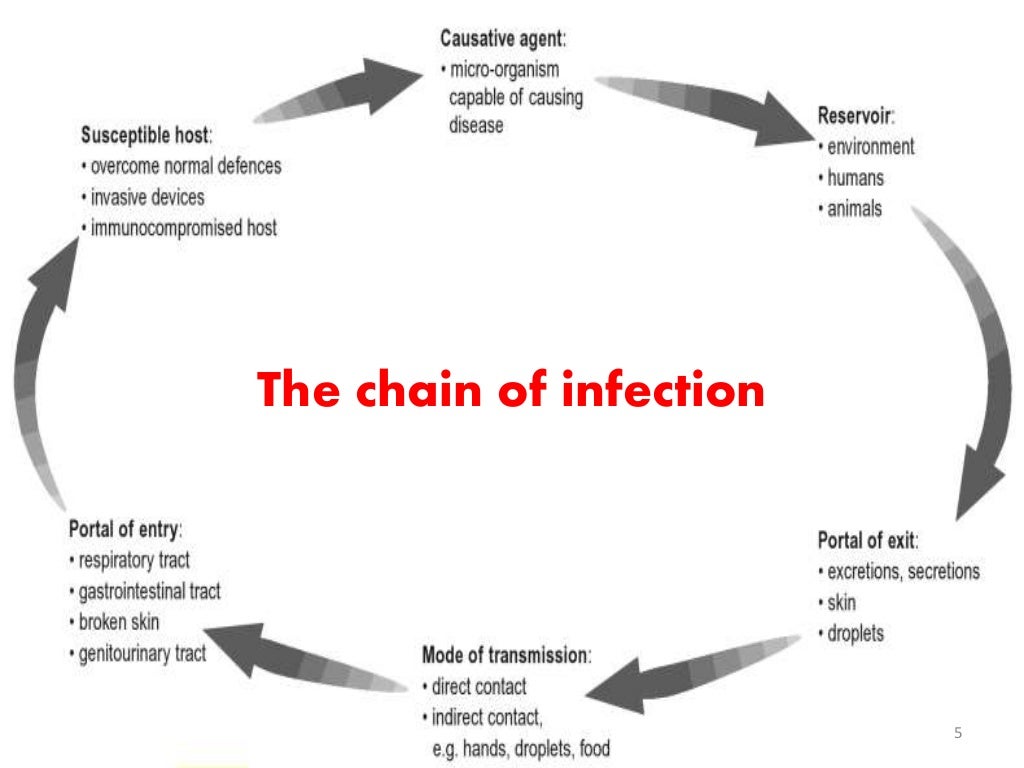 Methods of infection transmission