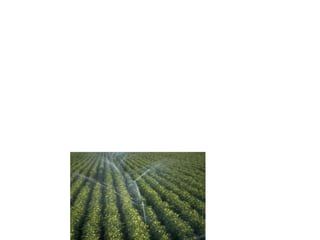 methods_of_irrigation.pdf