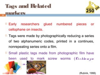 Tags and Related
markers
 Early researchers glued numbered pieces or
cellophane on insects.
 Tags were made by photographically reducing a series
of two alphanumeric codes, printed in a continues,
nonrepeating series onto a film.
 Small plastic tags made from photographic film have
been used to mark screw worms (Co chlio m yia
ho m inivo rax).
11
(Rubink, 1988)
 