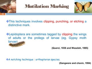 Mutilation Marking
This techniques involves clipping, punching, or etching a
distinctive mark.
Lepidoptera are sometimes tagged by clipping the wings
of adults or the prolegs of larvae (eg. Gypsy moth
larvae).
A notching technique : orthopteran species.
15
(Querci, 1936 and Weseloh, 1985)
(Gangwere and chavin, 1994)
 