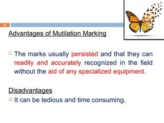 Advantages of Mutilation Marking
 The marks usually persisted and that they can
readily and accurately recognized in the field
without the aid of any specialized equipment.
Disadvantages
 It can be tedious and time consuming.
17
 