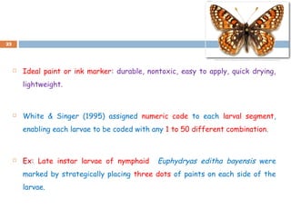  Ideal paint or ink marker: durable, nontoxic, easy to apply, quick drying,
lightweight.
 White & Singer (1995) assigned numeric code to each larval segment,
enabling each larvae to be coded with any 1 to 50 different combination.
 Ex: Late instar larvae of nymphaid Euphydryas editha bayensis were
marked by strategically placing three dots of paints on each side of the
larvae.
23
 