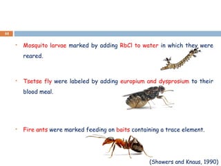  Mosquito larvae marked by adding RbCl to water in which they were
reared.
 Tsetse fly were labeled by adding europium and dysprosium to their
blood meal.
 Fire ants were marked feeding on baits containing a trace element.
44
(Showers and Knaus, 1990)
 
