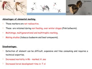 Advantages of elemental marking
 These markers are not radioactive.
 These are retained during non feeding, over winter stages (Pink bollworm).
 Multistage, multigenerational and multitrophic marking.
 Mating studies (tobacco budworm and beet armyworm).
Disadvantages
 Detection of element can be difficult, expensive and time consuming and requires a
technical expertise.
 Increased mortality in Rb - marked H. zea
 Increaesd larval development time in T. ni
46
 